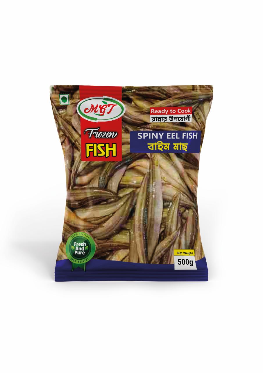 Spiny Eel